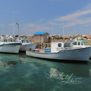 Sunday Nap in Nova Scotia – Coastal Country Wall Art Photo