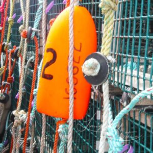 Fishing Buoys and Rope Photo Print – Nova Scotia Coastal Wall Art