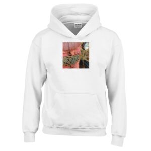 175ce71b-666f-4ab9-a188-ad03fadad8c4