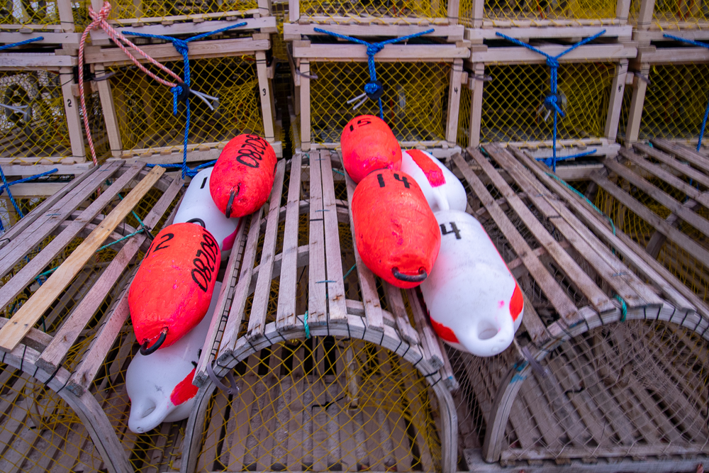 Trapped Buoys – Nova Scotia Coastal Fishing Scene